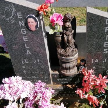 MASSYN A.J.H. 1950- &amp; E.J. 1948-2013