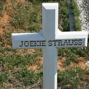STRAUSS Joekie