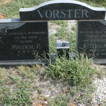 VORSTER Mieder F. 1918- &amp; Etrechia 1923-1987