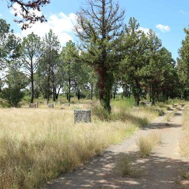 2. Overview / Oorsig