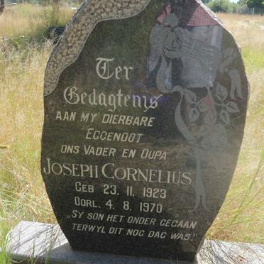 BERG Joseph Cornelius, van der 1923-1970