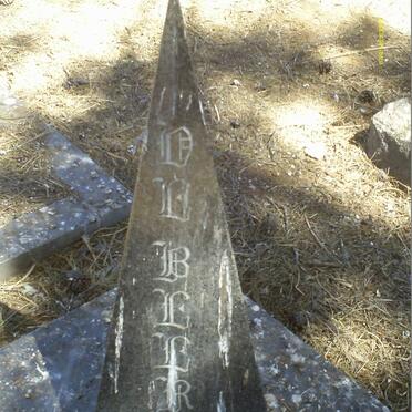 BEER Gerhard Walter, de 1895-1976 