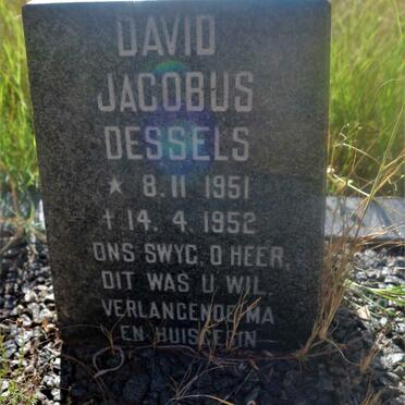 DESSELS David Jacobus 1951-1952