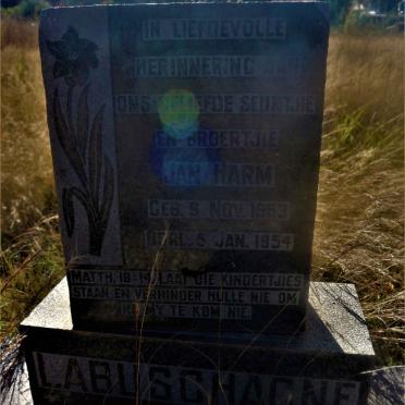 LABUSCHAGNE Jan Harm 1953-1954