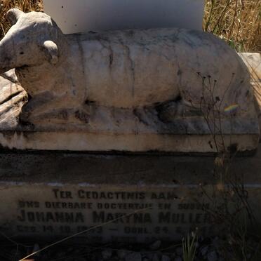 MULLER Johanna Maryna 1943-1945 :: MULLER Hendrik Lodewyk 1951-1999