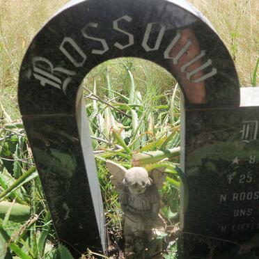 ROSSOUW Danie 1976-1978