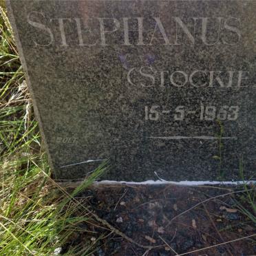 STOCKIGT Stephanus Buys -1953