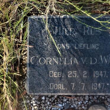 WALT Cornelia, v.d. 1947-1947