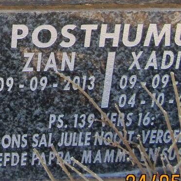 POSTHUMUS Zian 2013- :: POSTHUMUS  Xadian 2013-2013