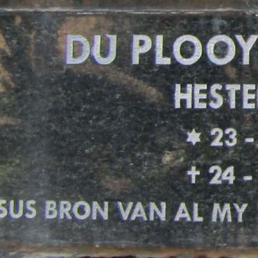 PLOOY Hester, du 1952-2013