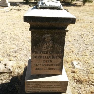 BILSE Winifred Oswalda Cornelia -1901
