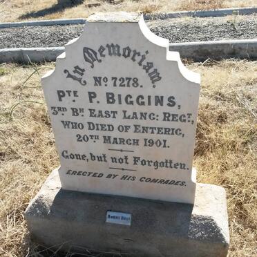 BIGGINS P. -1901