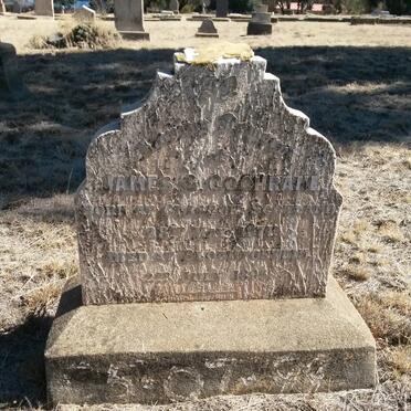 COCHRANE James S. 1871-1895