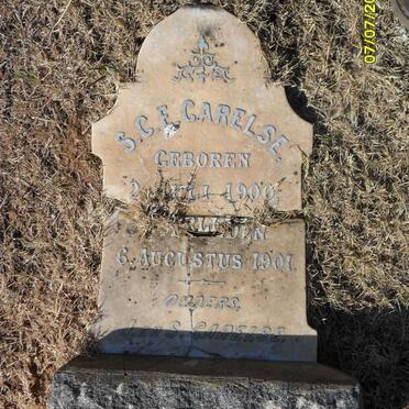 CARELSE S.C.E. 1900-1901