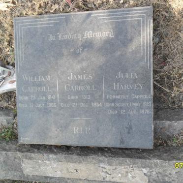 CARROLL James 1813-1854 :: HARVEY Julia formerly CARROLL 1813-1878 :: CARROLL William 1841-1866