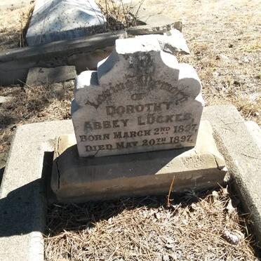 LÜCKES Dorothy Abbey 1897-1897