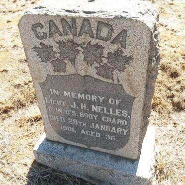 N - Vanne :: Surnames - N