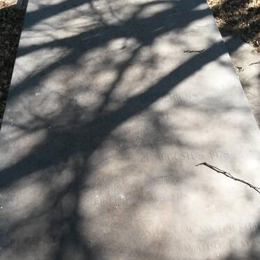 DIEDERICHS Nicolaas 1903-1978