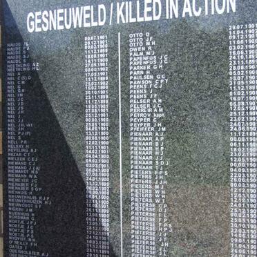 Killed in Action Panel_9a