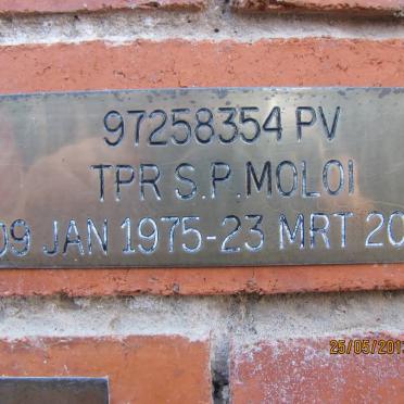 MOLOI S.P. 1975-2004