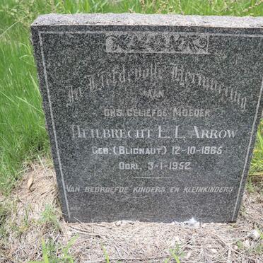 ARROW Heilbrecht E.L. nee BLIGNAUT 1865-1952