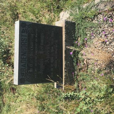 BADENHORST Jacobus Hermanus Andreas 1905-1964