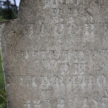 BEZUIDENHOUT Jacobus Philippus 1856-1930