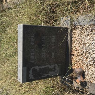 BUKES Lionel 1966-1966