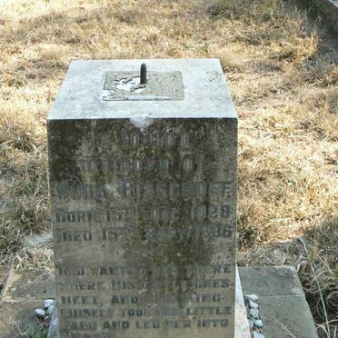 BISSCHOFF Wuda 1928-1936