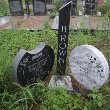 BROWN James Charles 1895-1981 &amp; Aletta Petronella WALTON 1911-1983