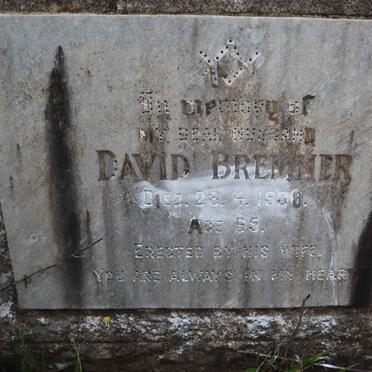 BREMNER David -19?8