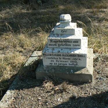 BRILL Willem Gerard Alexander -1903