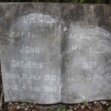 CRAGG Joan Catherine 1953-1953 :: CRAGG Priscilla Inez 1953-1953