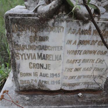 CRONJE Sylvia Marelna 1945-1946
