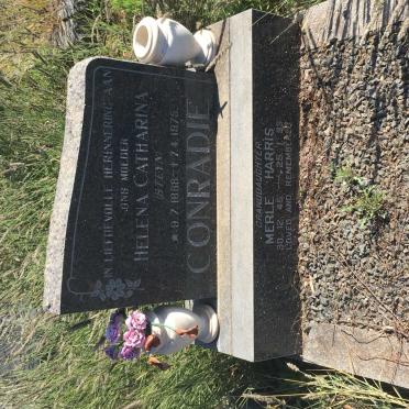 CONRADIE Helena Catharina nee STEYN 1888-1975 :: HARRIS Merle 1945-1993