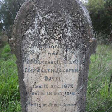 DAVEL Elizabeth Jacomina 1872-1918