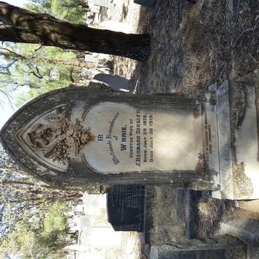 DERSLEY Winnie 1878-1919