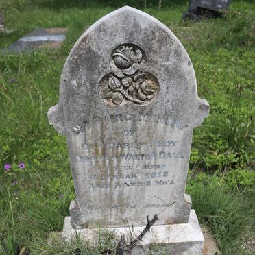 DALE Graham Walter - 1915 :: DALE Lawrence Roy 1926-1927