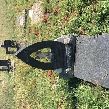 FERNS Suzette 1960-1964