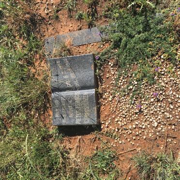 GERMISHUIZEN Pieter Francis 1954-1966