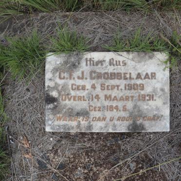 GROBBELAAR C.F.J. 1909-1931