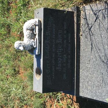 HORN Jaspertjie 1963-1964