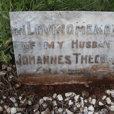 HATTINGH Johannes Theobald