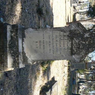 JAHNIG Carl Wilhelm 1855-1915