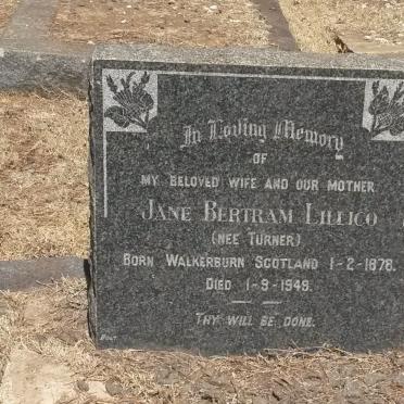 LILLICO Jane Bertram nee TURNER 1878-1949