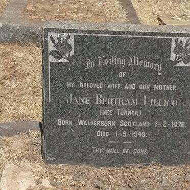 LILLICO Jane Bertram nee TURNER 1878-1949
