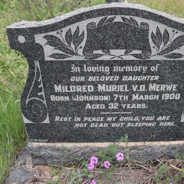 MERWE Mildred Muriel, v.d. nee JOHNSON -1900