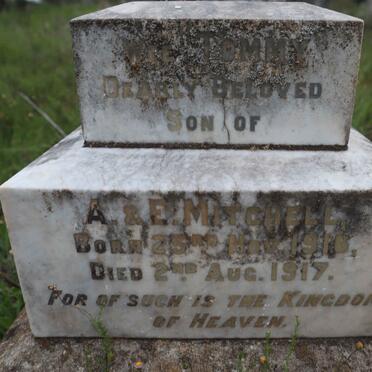 MITCHELL Tommy 1916-1917