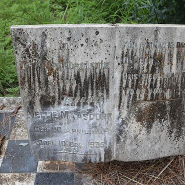 MAASDORP Nellie 1904-1935