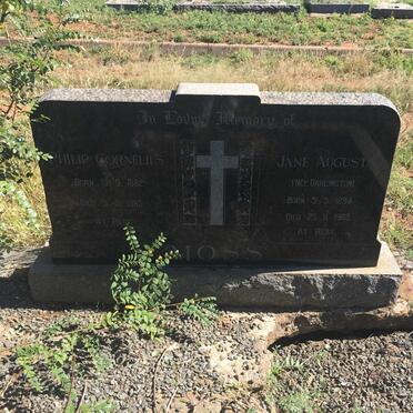 MOSS Philip Cornelius 1882-1965 &amp; Jane August DARLINGTON 1894-1969